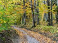 Im Kalkgraben bei Aschau